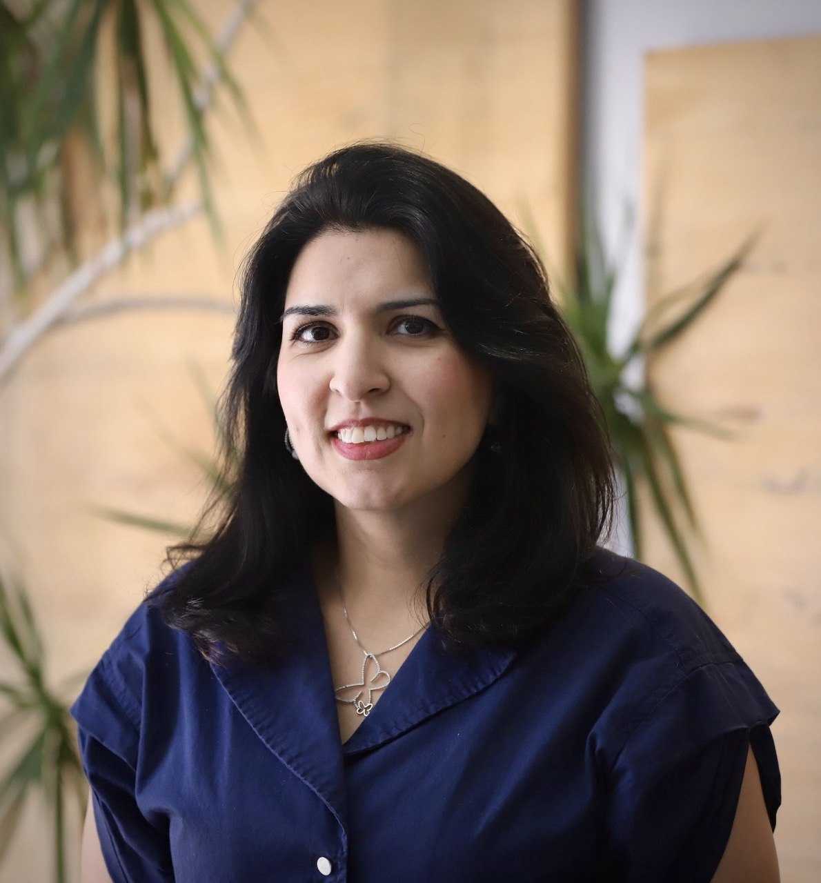 Asma Mohrsab, Business Modernization Consultant